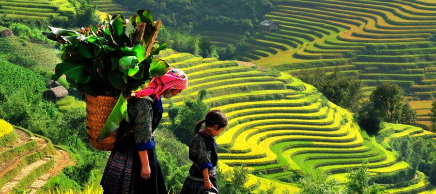 Bản Lao Chải - Tả Vản