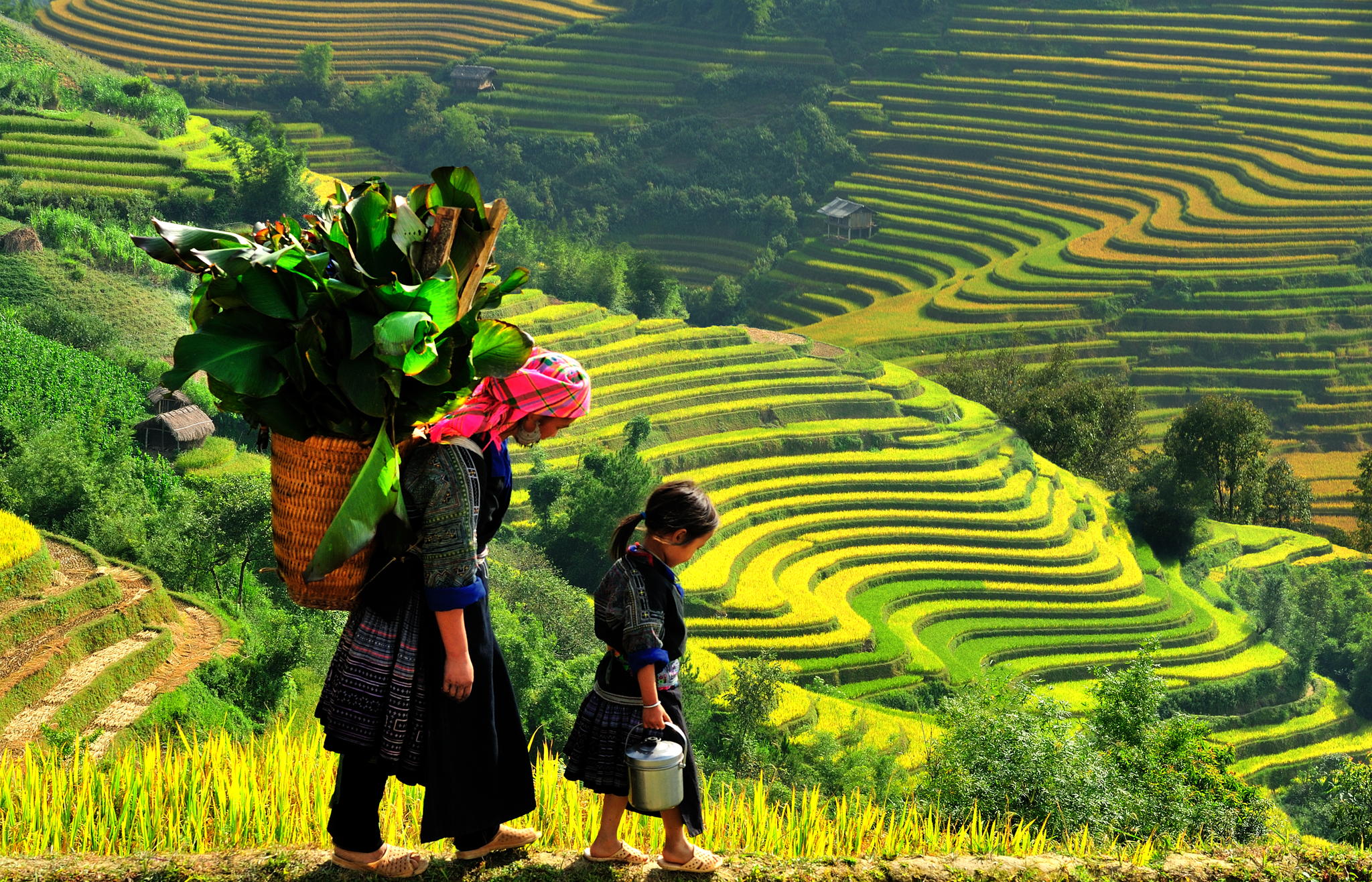 Bản Lao Chải - Tả Vản