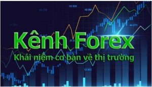 Thi Truong Forex