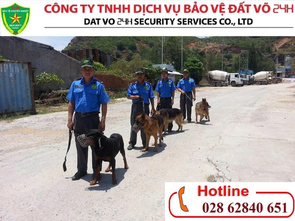 Tuần tra và giám sát tài sản