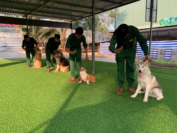 Nhân viên trung tâm huấn luyện chó Sài Gòn DTC uy tín và hiệu quả