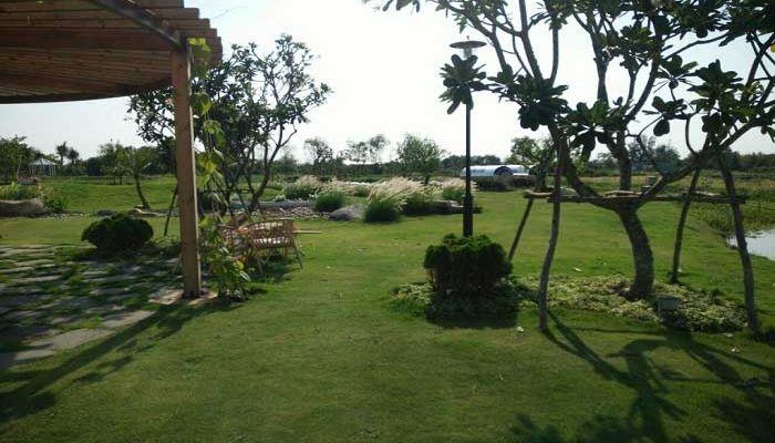 Sự khác nhau giữa đất vườn và đất trồng cây lâu năm?