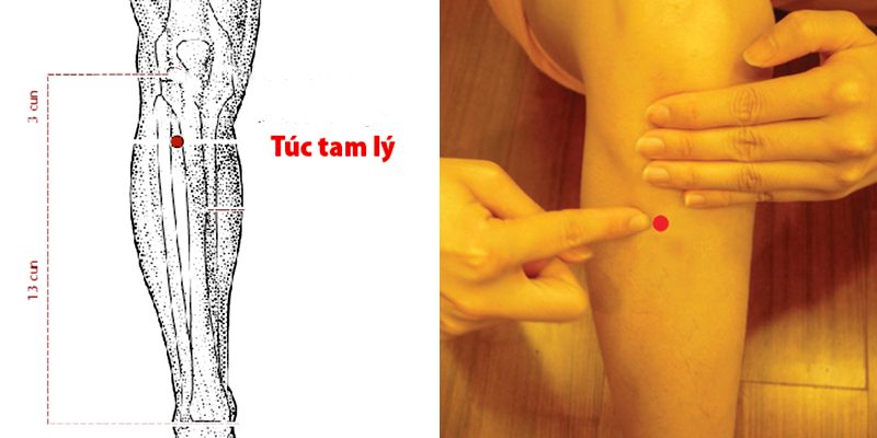 Huyệt túc tam lý