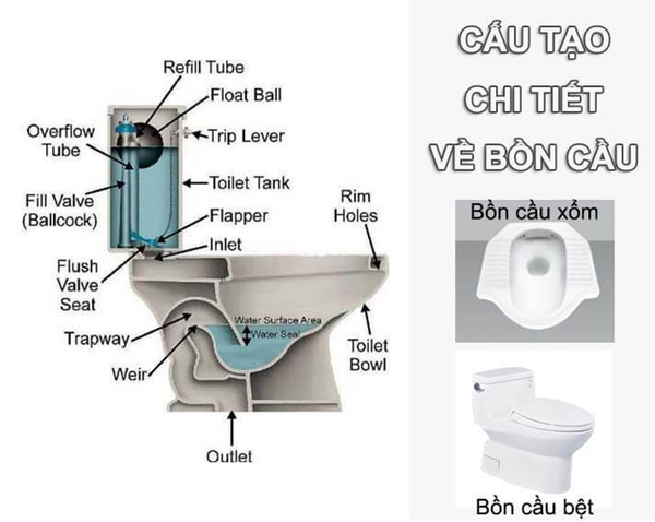Cấu tạo bồn cầu chi tiết và nguyên lý hoạt động