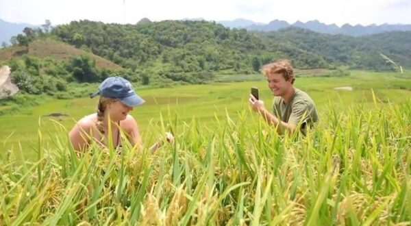 Du lịch nông nghiệp