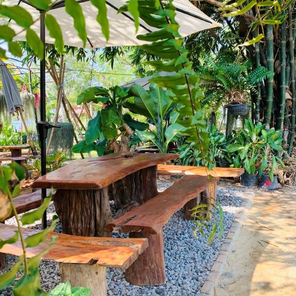 Xu hướng Setup không gian cafe sân vườn kết hợp sử dụng nhiều cây xanh