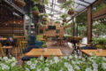 Quán cafe nông thôn