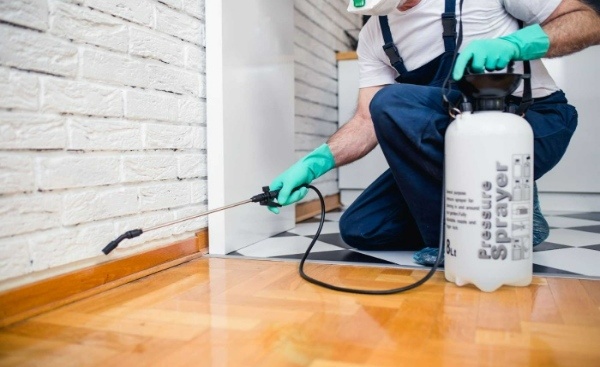 Phun vừa đủ lượng thuốc diệt mối