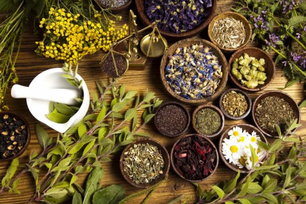 Sử dụng cây thảo mộc để chăm sóc tóc tại nhà